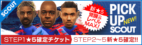 ピックアップスカウト