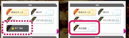 追加特徴の開放